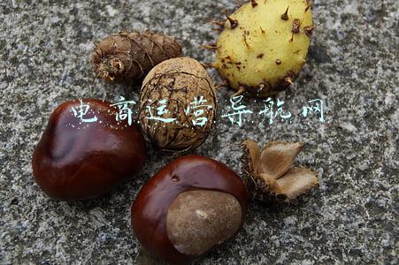 米范电商运营导航(有哪些浏览器收藏夹必备的“网站”？)