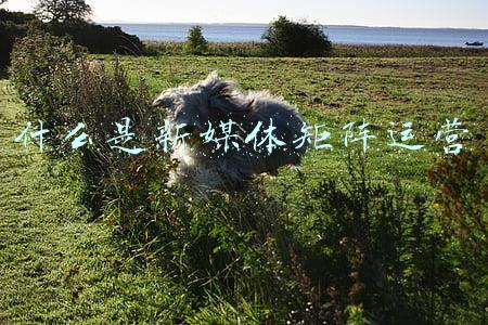 新媒体矩阵的作用(开局“十四五”·临朐答卷丨民生支出占比八成多)