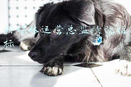 新媒体运营绩效考核指标(2021《百货和购物中心运营关键绩效指标(KPI)体系》发布（全文）)