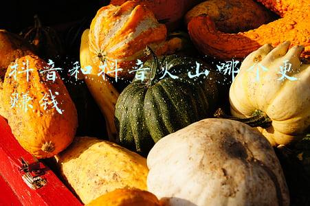 抖音和抖音火山哪个更赚钱