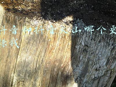 抖音和抖音火山版同步(今天起，微信、淘宝、抖音互联互通)