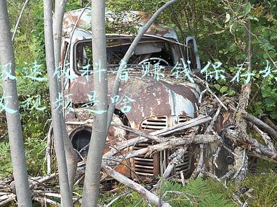 抖音极速版如何分享给抖音好友(抖音极速版互相助力的来)