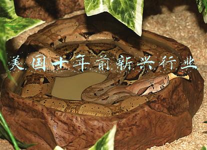 美国有哪些新兴行业(美国发布新一版《关键和新兴技术清单》（2022年2月）)