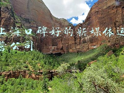 上海新媒体公司排名(上海政务新媒体1月传播影响力榜单发布)
