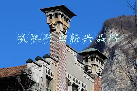 减肥行业新兴品牌