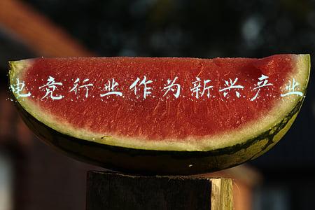 电竞相关行业(盘点电竞行业2021：热搜与热血背后的产业跃进)