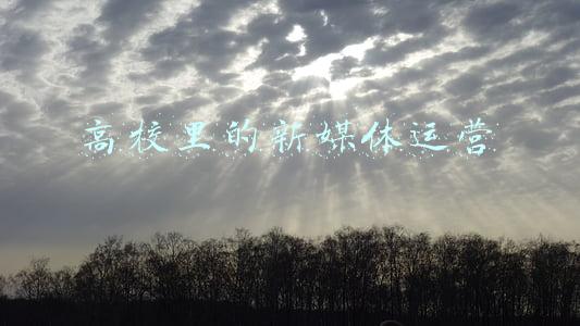 高校里的新媒体运营