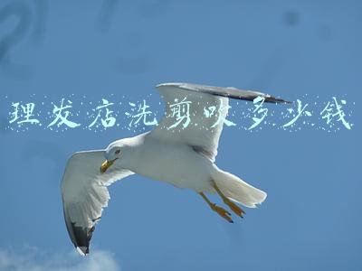 理发店卫生检测多少钱_理发店环境检测多少钱