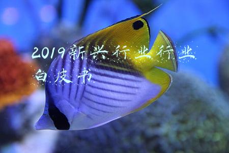 2020新兴行业 市场空白(2020年生物基材料行业现状，“限塑”为产品发展创造了市场空间)