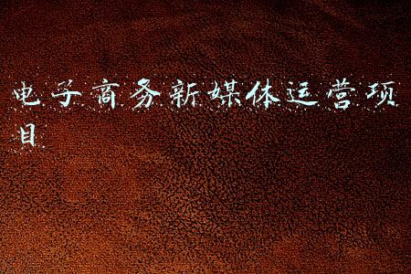电子商务新媒体运营项目