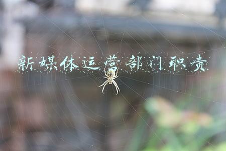 公司新媒体部门职责(“智库湘军”再添劲旅，“湖南日报智库”成立)