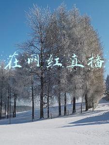 杨坤在网红直播带货
