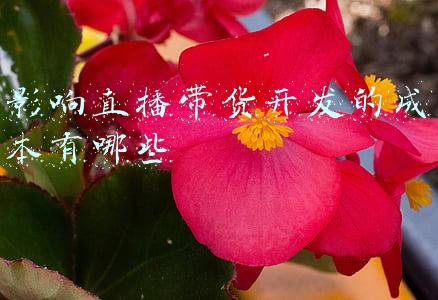 影响直播带货开发的成本有哪些