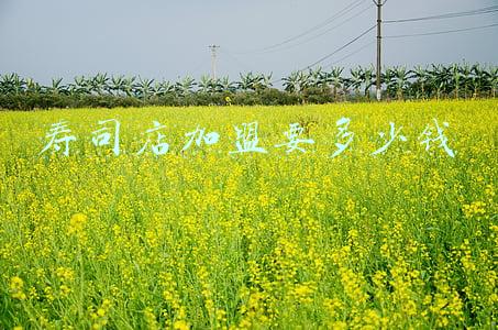 寿司店加盟要多少钱