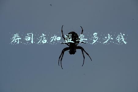 加盟寿司店赚钱吗(开一家寿司店赚钱吗)
