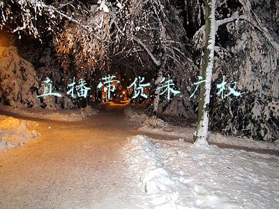 直播带货朱广权