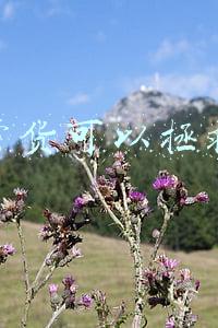 微信直播带货(广州直播节今日落幕，上千家本土商家在微信直播带货)