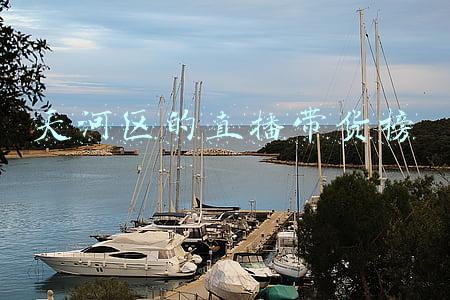 直播带货前三名(1200万！孙杨带货第一名，游泳冠军转战直播领域，遭名记怒斥)