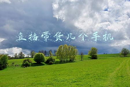 直播带货几个手机