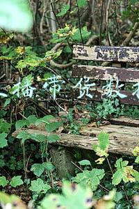 网络直播带货培训(从职业培训师的视角，看带货主播的培养与培训)