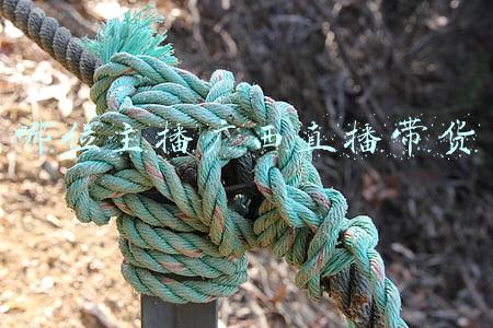 哪位主播广西直播带货