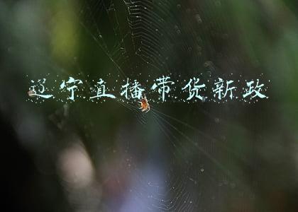 直播带货国家政策(中宣部、广电总局：播音员主持人代言带货须经批准)