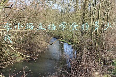 李小璐直播带货视频(李小璐直播带货，网友骂声一片，可惜了贾乃亮对她的万般宠爱！)