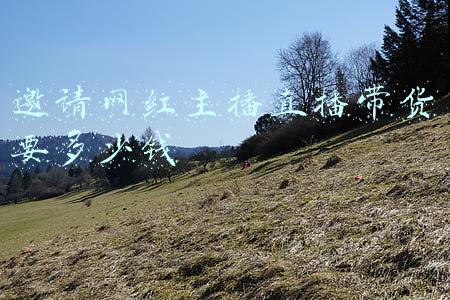 邀请网红主播直播带货要多少钱