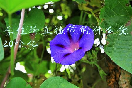 李佳琦直播带的什么货20个亿
