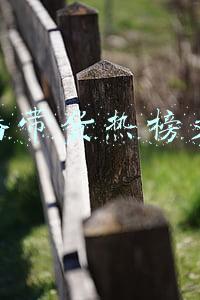 直播带货热榜文案