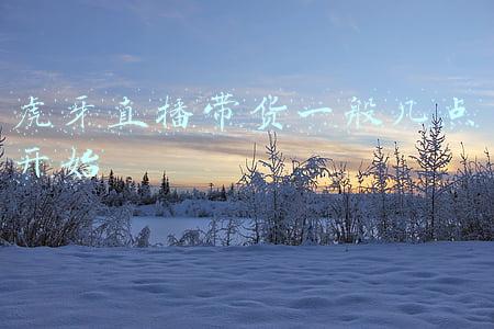 虎牙直播可以直播带货吗(不求人尝试直播带货，效果极佳，新皮肤竟然一秒抢空？)