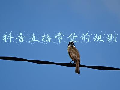 抖音直播带货的规则