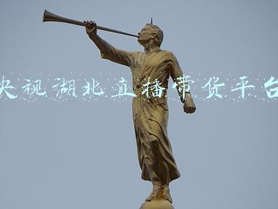 央视主持人为湖北带货(直播中！湖北30县县长与央视主持人天团联手带货，看“鄂”了)