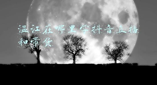 温江在哪里学抖音直播和带货