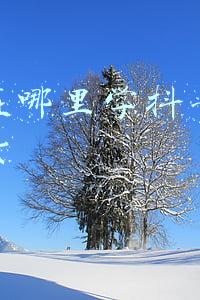 温江在哪里学抖音直播和带货