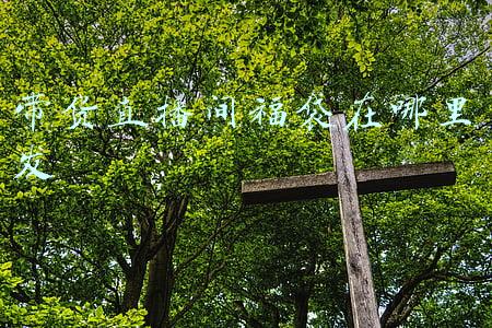 直播带货怎么发货(直播带货，带你打入MCN机构内部，讲解主播带货从0到1整个流程)