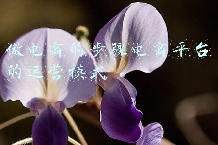 电商的运营模式(农村电商应该怎么做？常见三种模式收藏好)