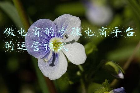 电商平台怎么运营的(运营口袋笔记：怎么做用户运营)