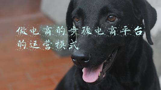 电商行业的8种运营模式(分享几种电商模式)