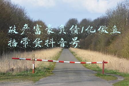 破产富豪负债1亿做直播带货抖音号