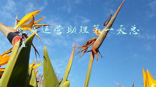 电商运营助理第一天总结
