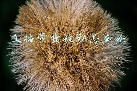 直播带货被动怎么办