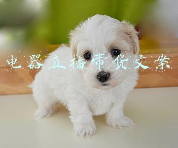 苏宁电器退换货规定(加码七日无理由退货服务，苏宁落地“异地无理由退货”)