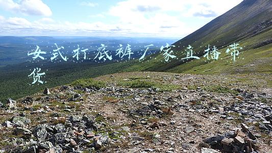 打底裤(漂亮的打底裤，突出身材，时尚，感觉时尚，美丽动人)