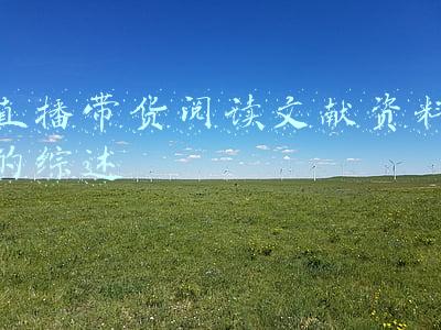 直播带货阅读文献资料的综述