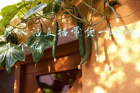 罗永浩直播带货一年赚几个亿