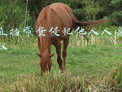 侵犯他人人身自由(侵害众多个人信息该如何承担民事责任)