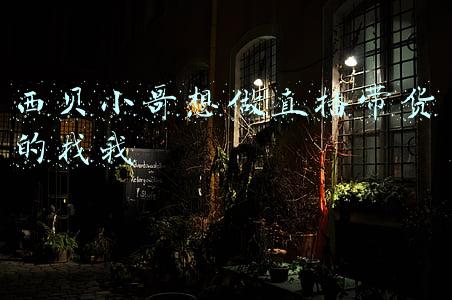 西贝小哥想做直播带货的找我