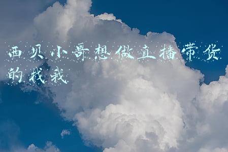 西贝小哥想做直播带货的找我
