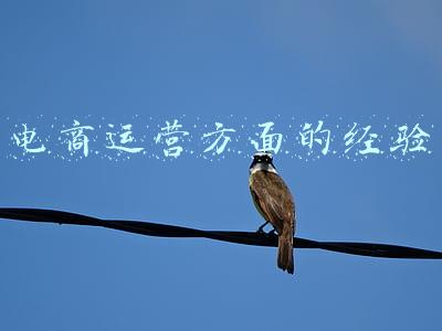 电商运营方面的经验